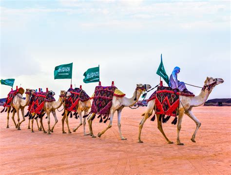 king abdulaziz camel festival